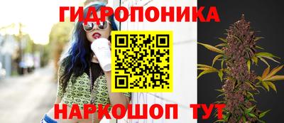 дмт Балаково