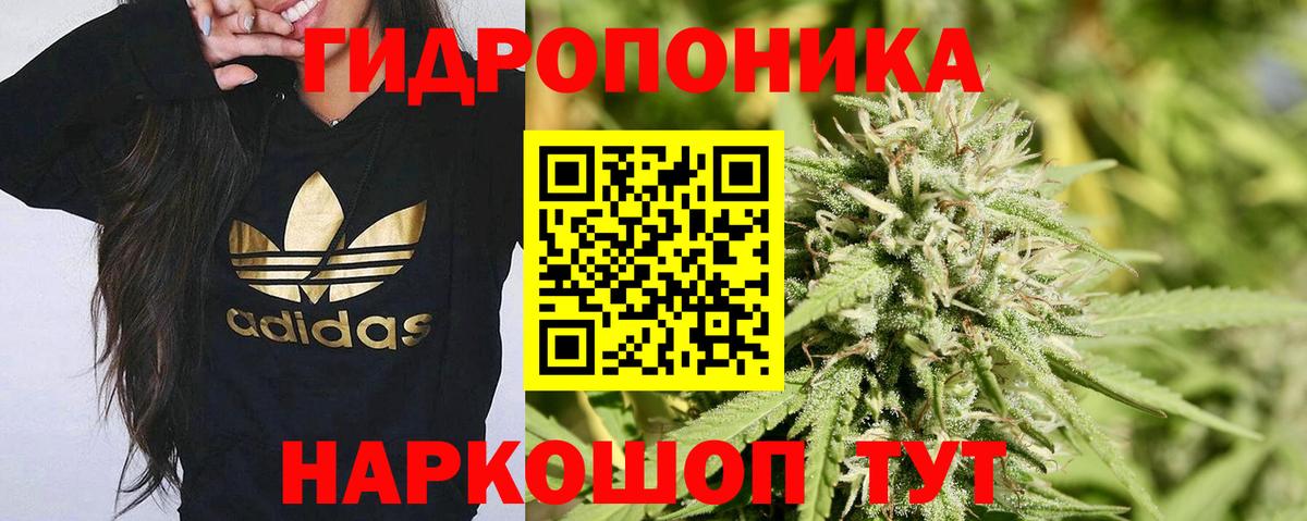 Бошки марихуана планчик Белореченск